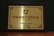 B1、中國房地產(chǎn)誠信企業(yè)2005—2006年